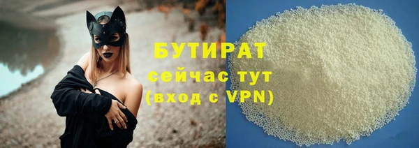 индика Беломорск