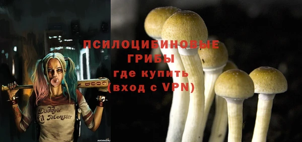 соль ск Белоозёрский