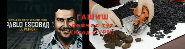 индика Беломорск
