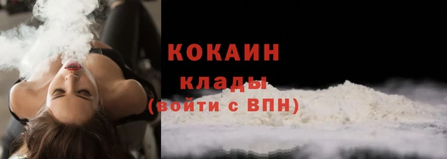 индика Беломорск