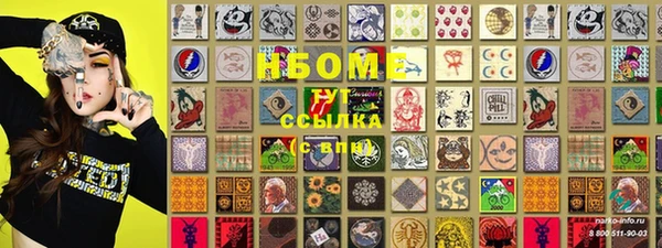 индика Беломорск