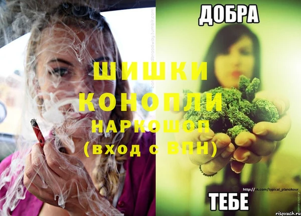 индика Беломорск