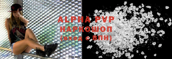 индика Беломорск