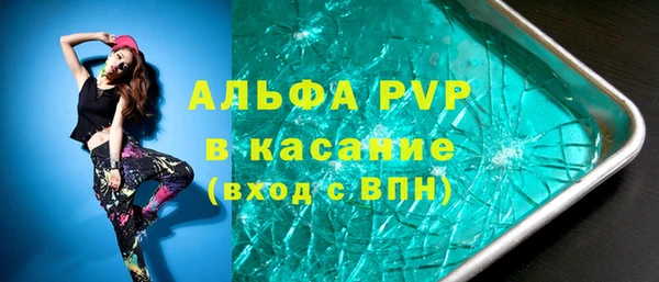 индика Беломорск