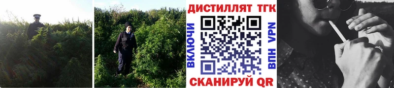 Дистиллят ТГК THC oil  Липецк 